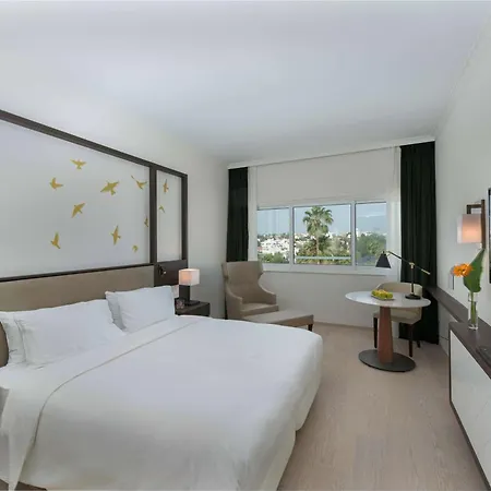 Hilton Hotel