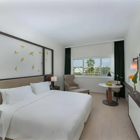 Hilton Hotel